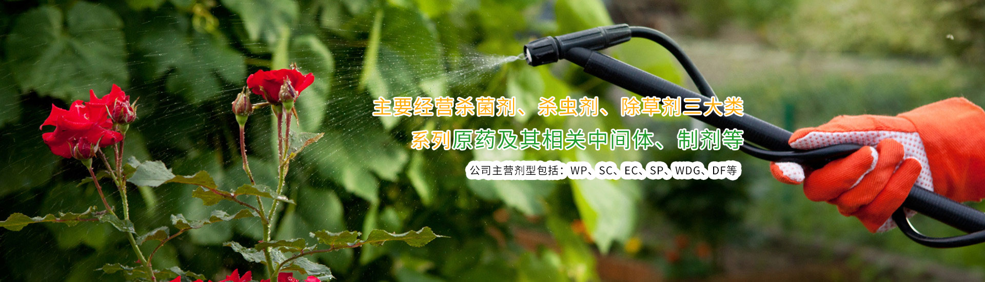 可以按照用戶(hù)要求設(shè)計(jì)為大傾角或移動(dòng)式，輸送量輸送量可達(dá)3000t/h